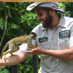 Monkey Jungle