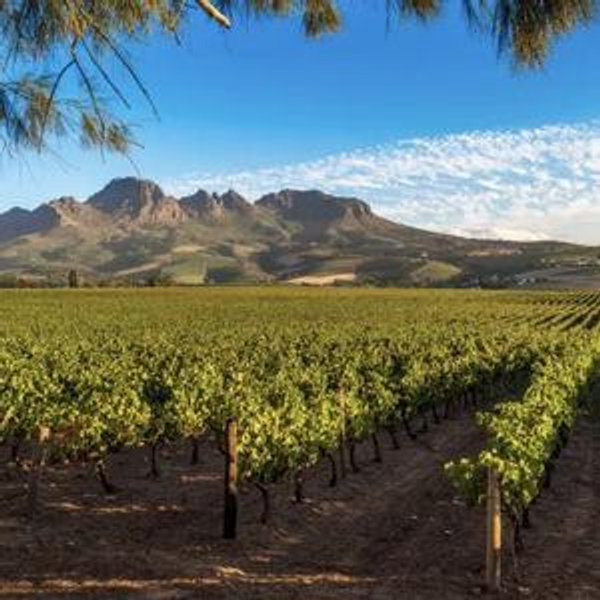 Wine Tasting around Capetown, South Africa