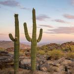 South Mountain Park and Preserve