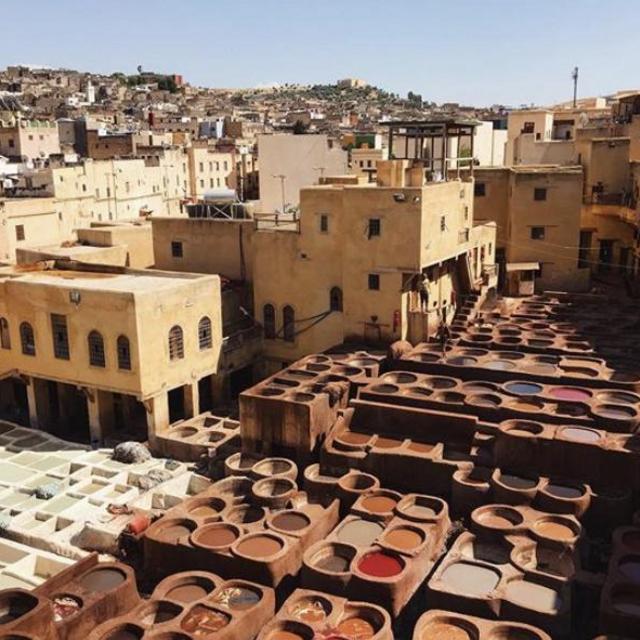 Guided Tour of Fes Medina