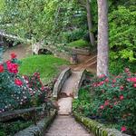 Ritter Park