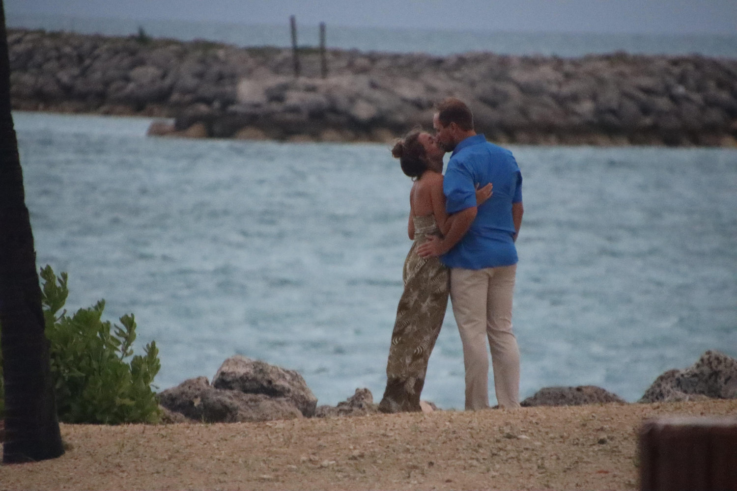 The Wedding Website of Darcy Brown and Collin Grill