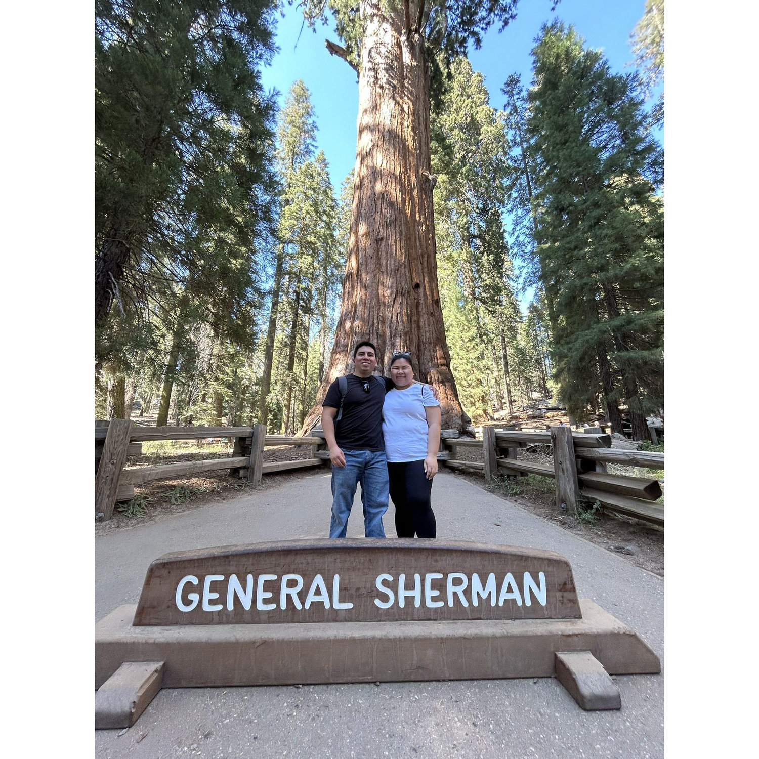 General Sherman Sequoia, 2024
