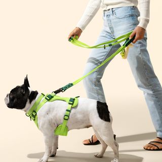 Luna Small 6-in-1 Waterproof Hands-Free Leash & Collar
