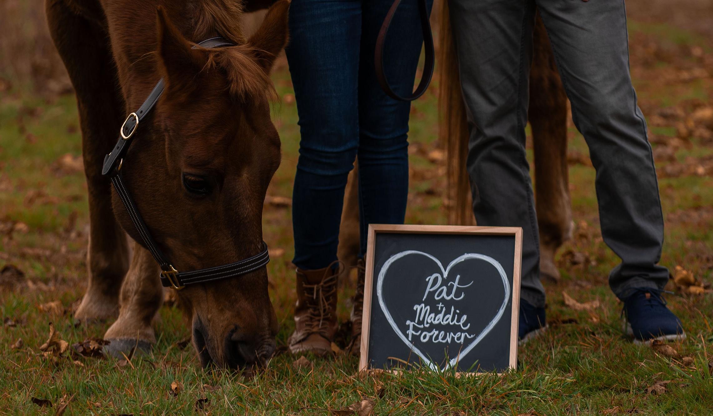 The Wedding Website of Madeline Rose Weinmann and Patrick Raymond Kutil