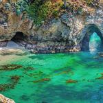Point Lobos State Natural Reserve