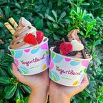 Yogurtland