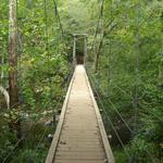 Eno River State Park