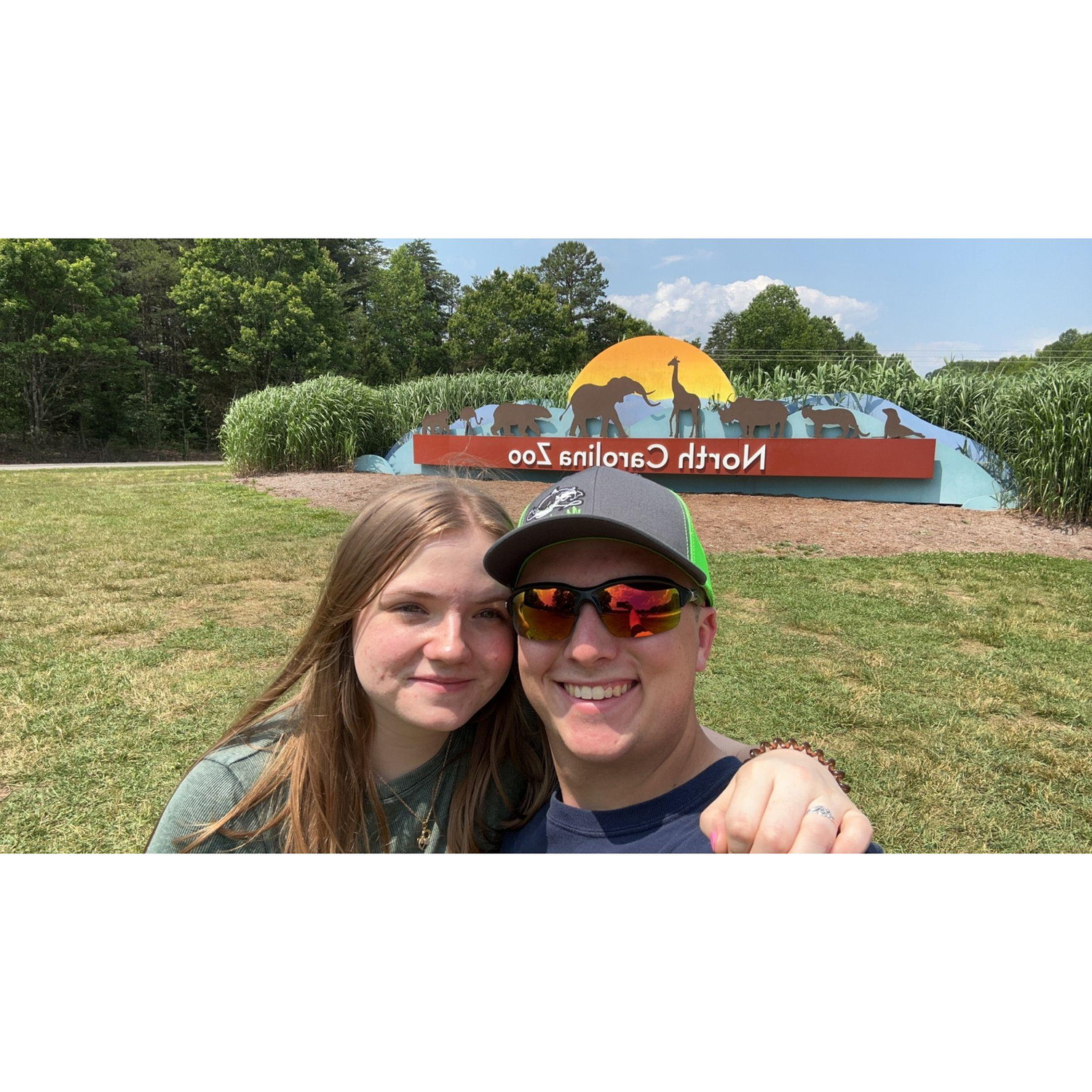 THE NC ZOO