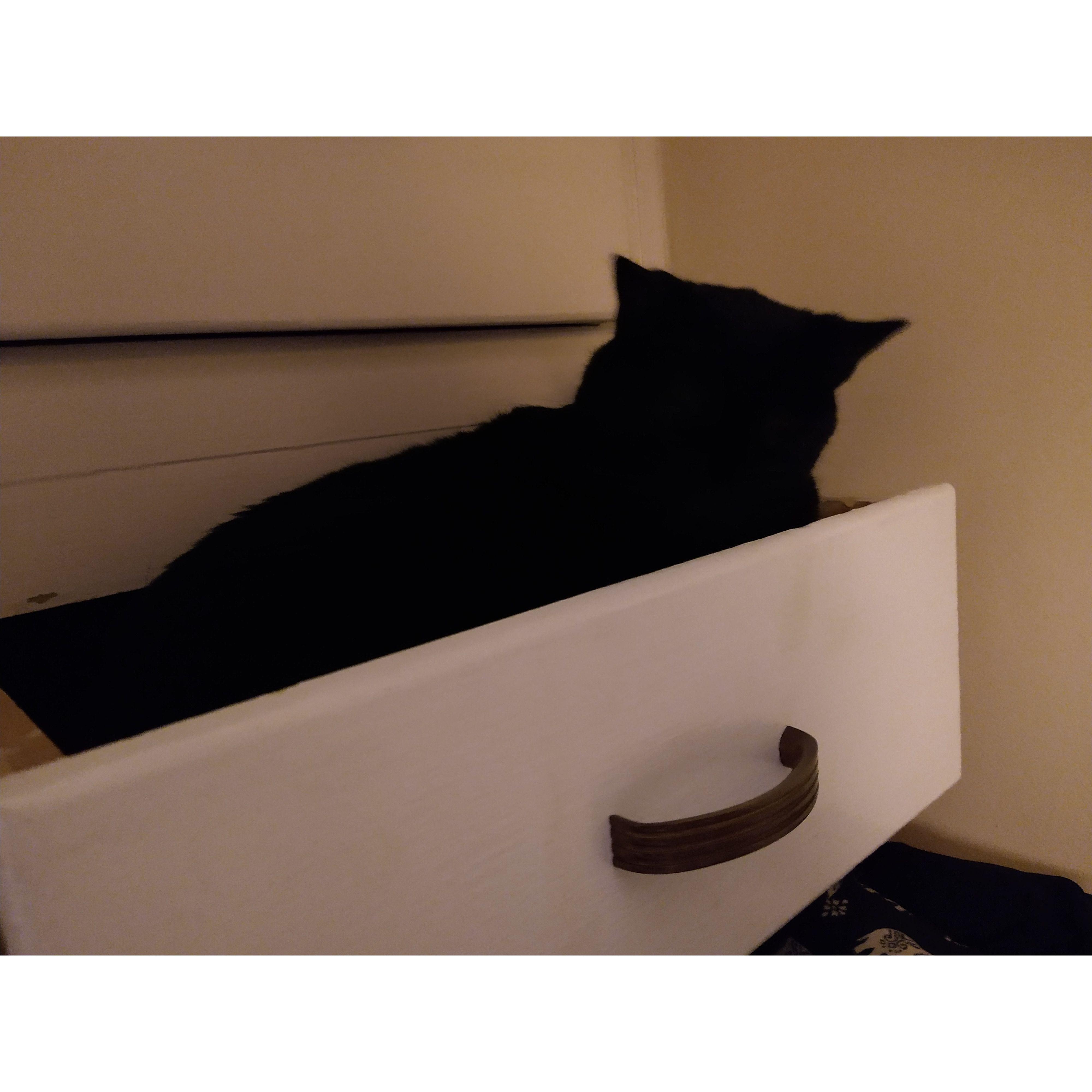 drawer demon