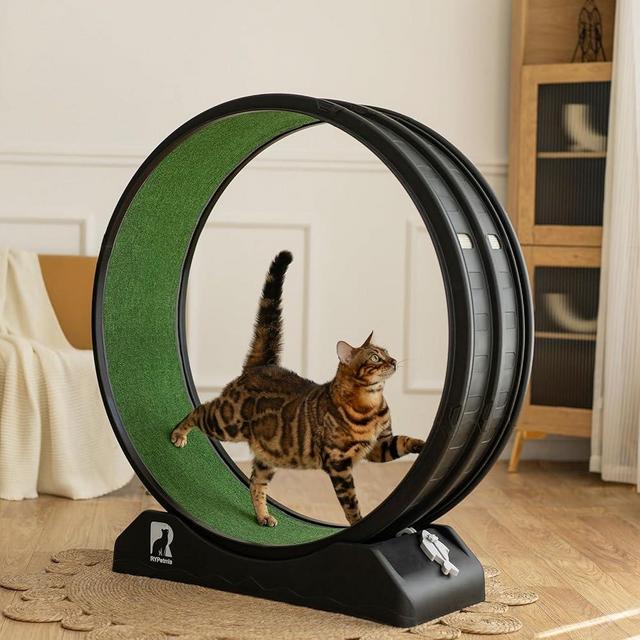 Cat Exercise Wheel, 39.4 Inch Cats Treadmill for Indoor, Cat Running Wheel with Carpeted Runway, Easy to Install & Fitness & Health, Suitable for Most Cats, Plastic Wheel