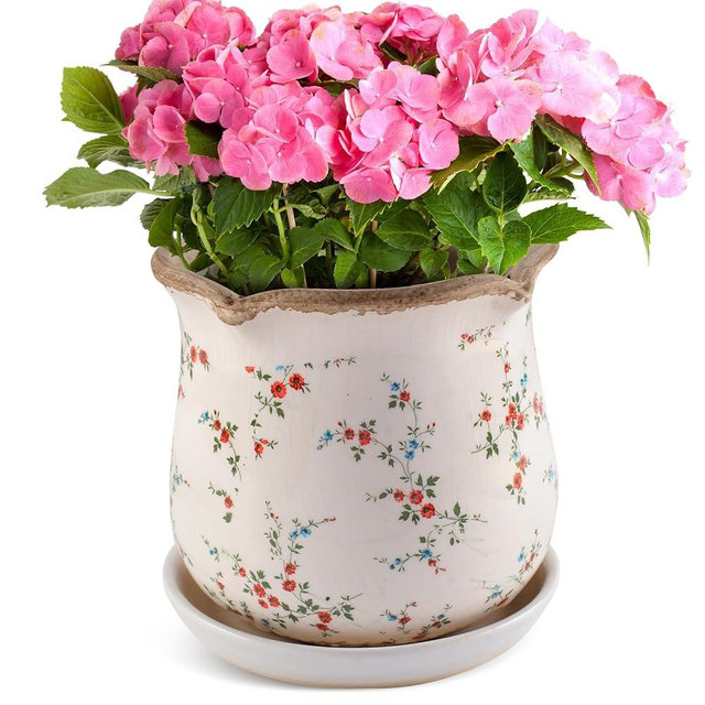 Xoogifae Ceramic-Planters-for-Indoor-Plants with Saucer, 6 inch Vintage Ice Crackle Glaze Plant Pots with Drainage Holes, Decorative Flower Pots for Outdoor Garden Home Decor, Tuscan Pot for Plant
