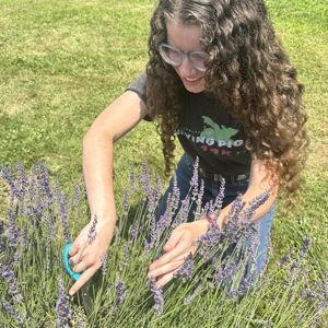 Rebecca's Dream Garden Fund