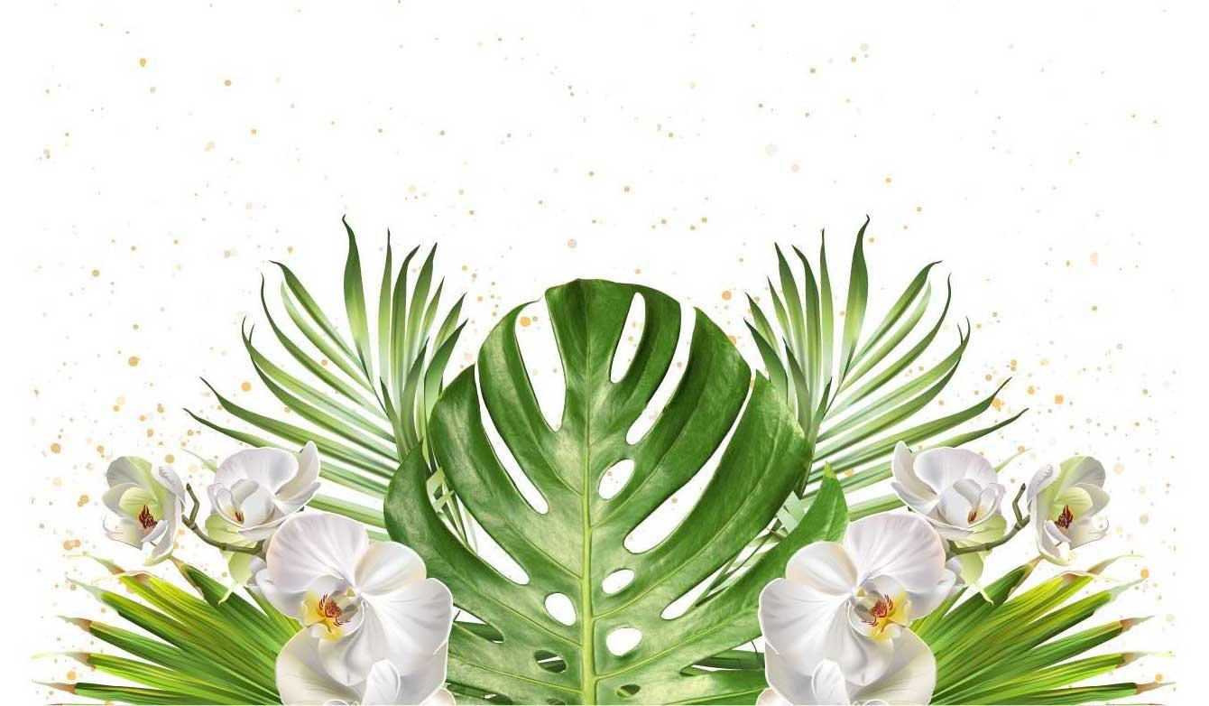 Footer image