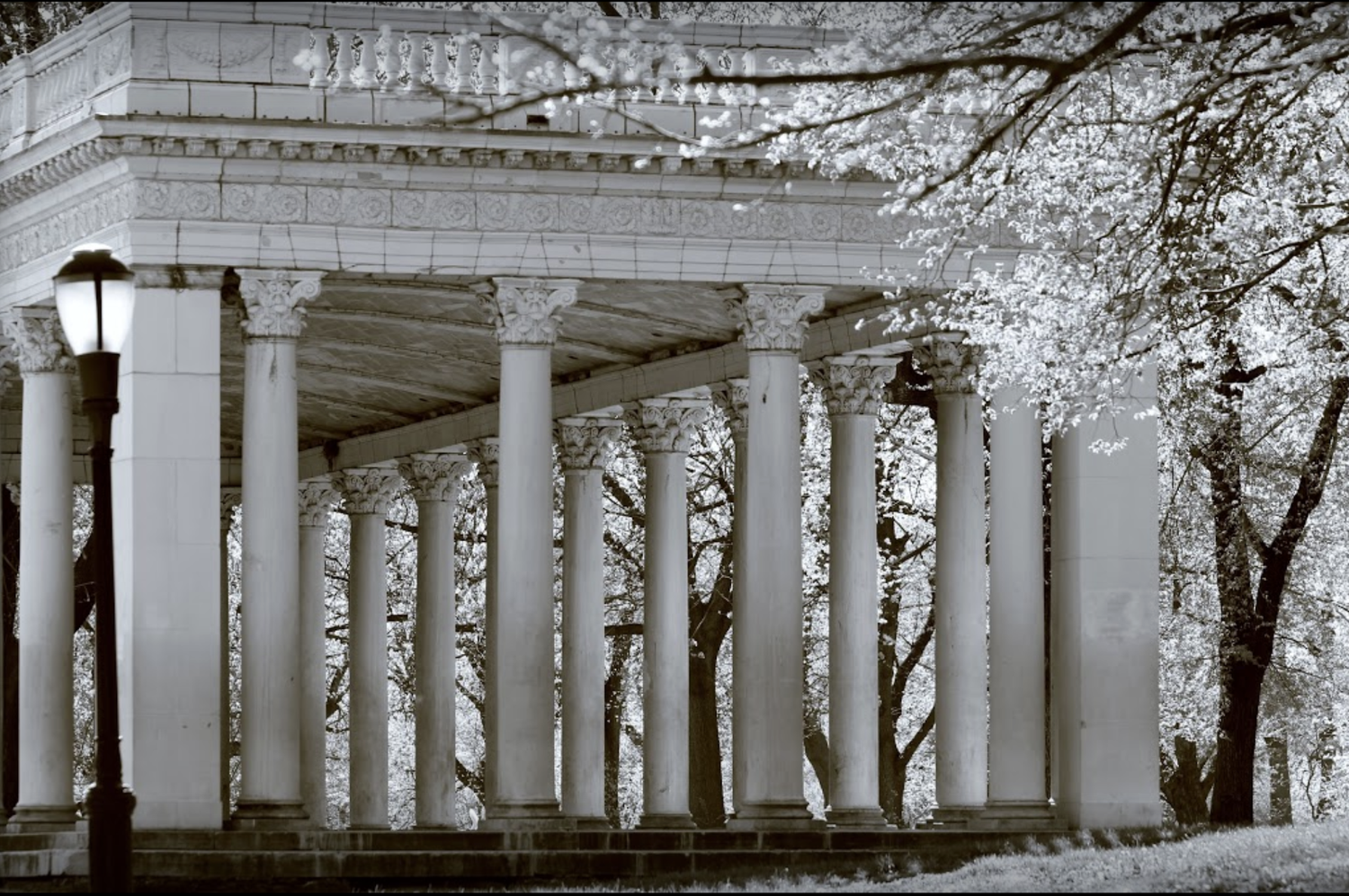 The Wedding Website of Sam Ward and Jasmine Aarons