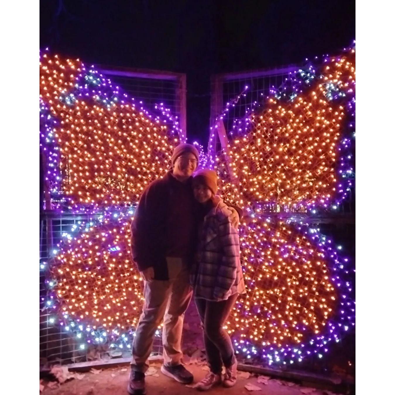 Lewis Genter Botanical Gardens Christmas Lights