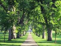Colorado State University