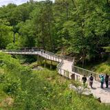 Walking or Hiking