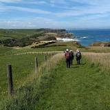 George Bass Coastal Walk