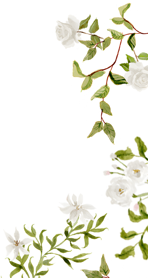 Jeenal shah and jasreet sandhu s wedding website