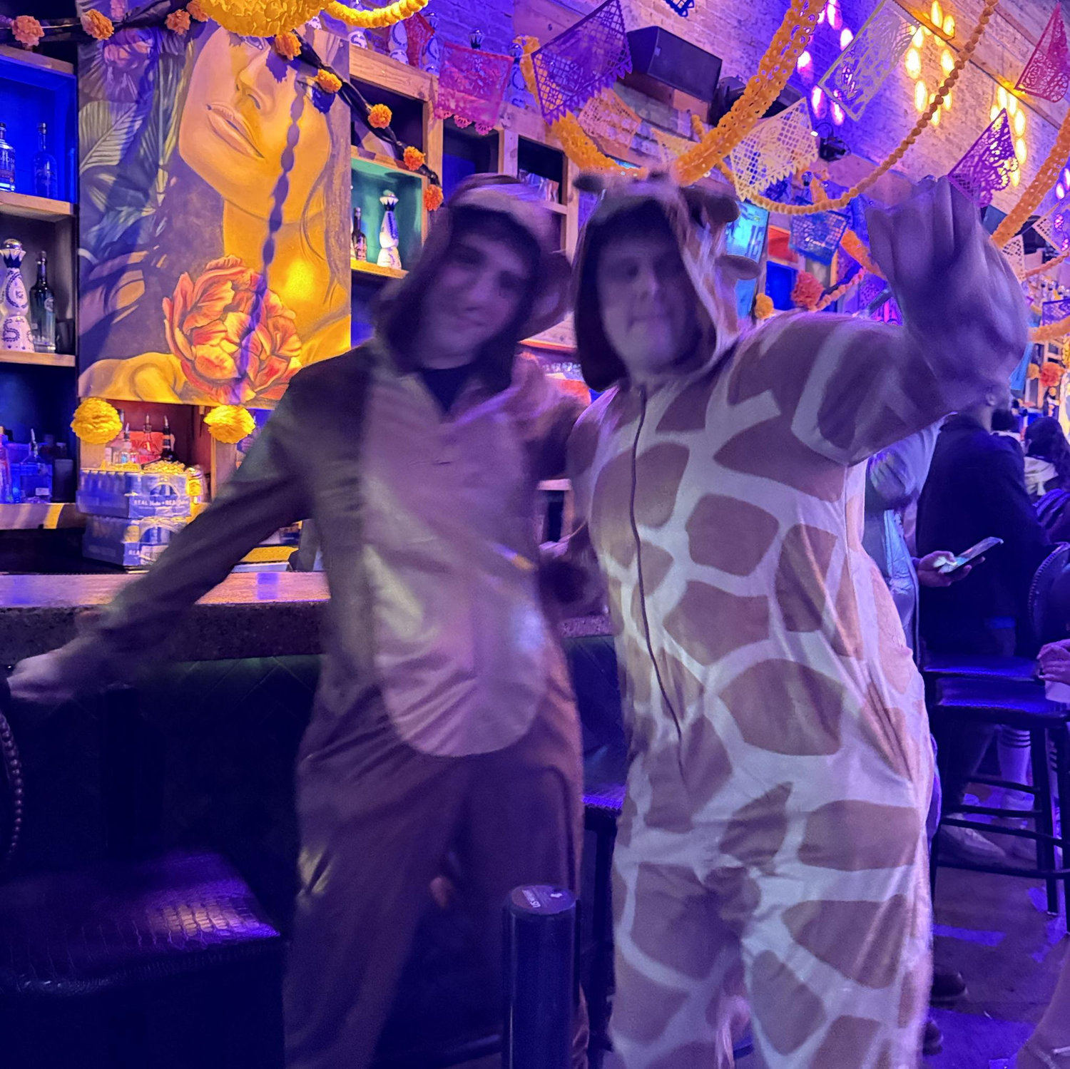 Halloween 25'