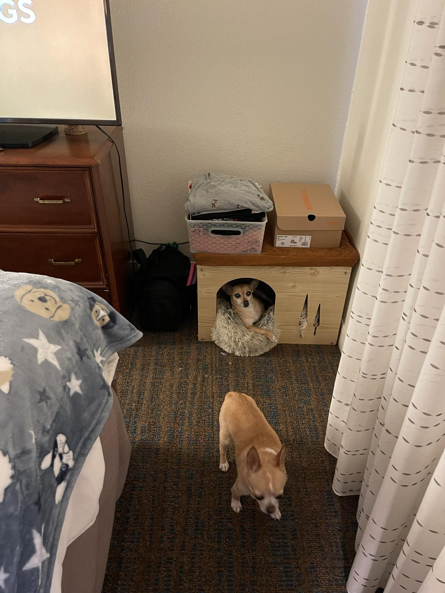 Hotel living - 2022
