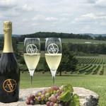 Arrington Vineyards