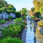 Raleigh Botanical Garden