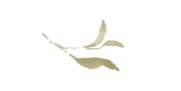 The Wedding Website of Katelynn Deal and Edward Duff