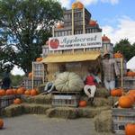 Applecrest Farm Orchard