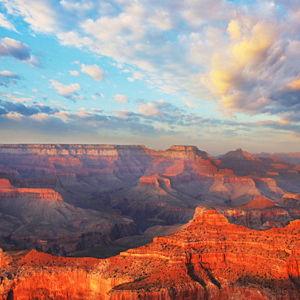 Arizona Dreamin' Honeymoon