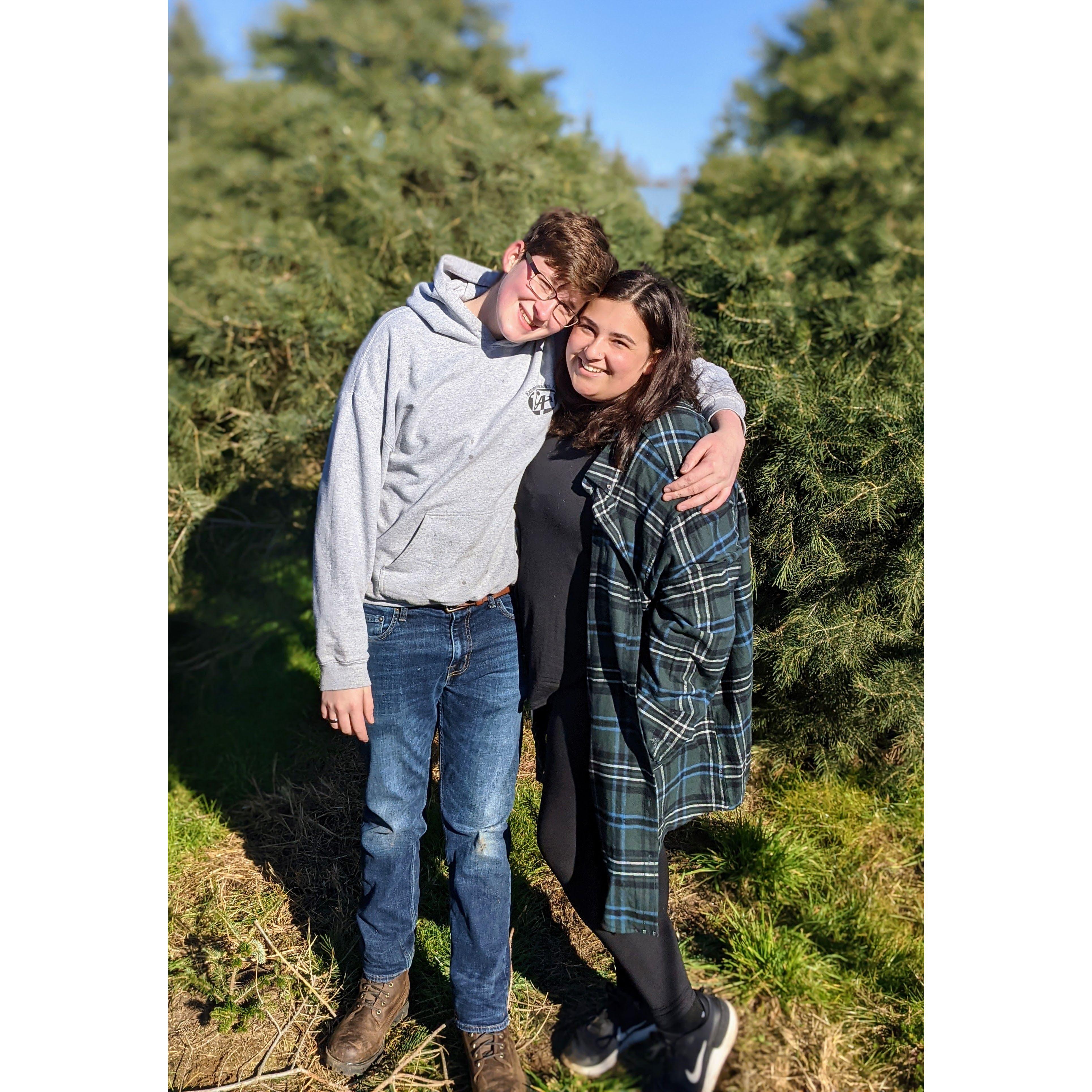 Looking for Christmas Trees 2021