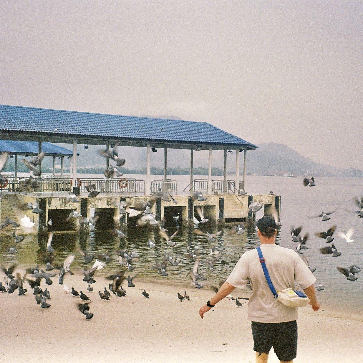 Chasing pigeons in rural Malaysia