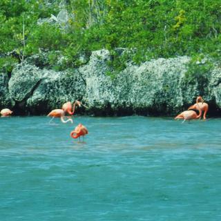 Private North & South Tour for 2 - Bonaire