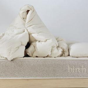 Birch Natural Down Duvet Insert, King