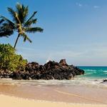 Beaches
