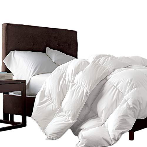 Luxurious Queen Size Siberian Goose Down Comforter 100% Egyptian Cotton 1200 Thread Count 1200TC - Baffle Box Design - 750+ FP - 50oz- Full/Queen Duvet - Solid White