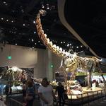 Perot Museum of Nature and Science