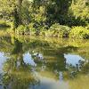 Avalon Park And Preserve