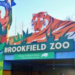 Brookfield Zoo