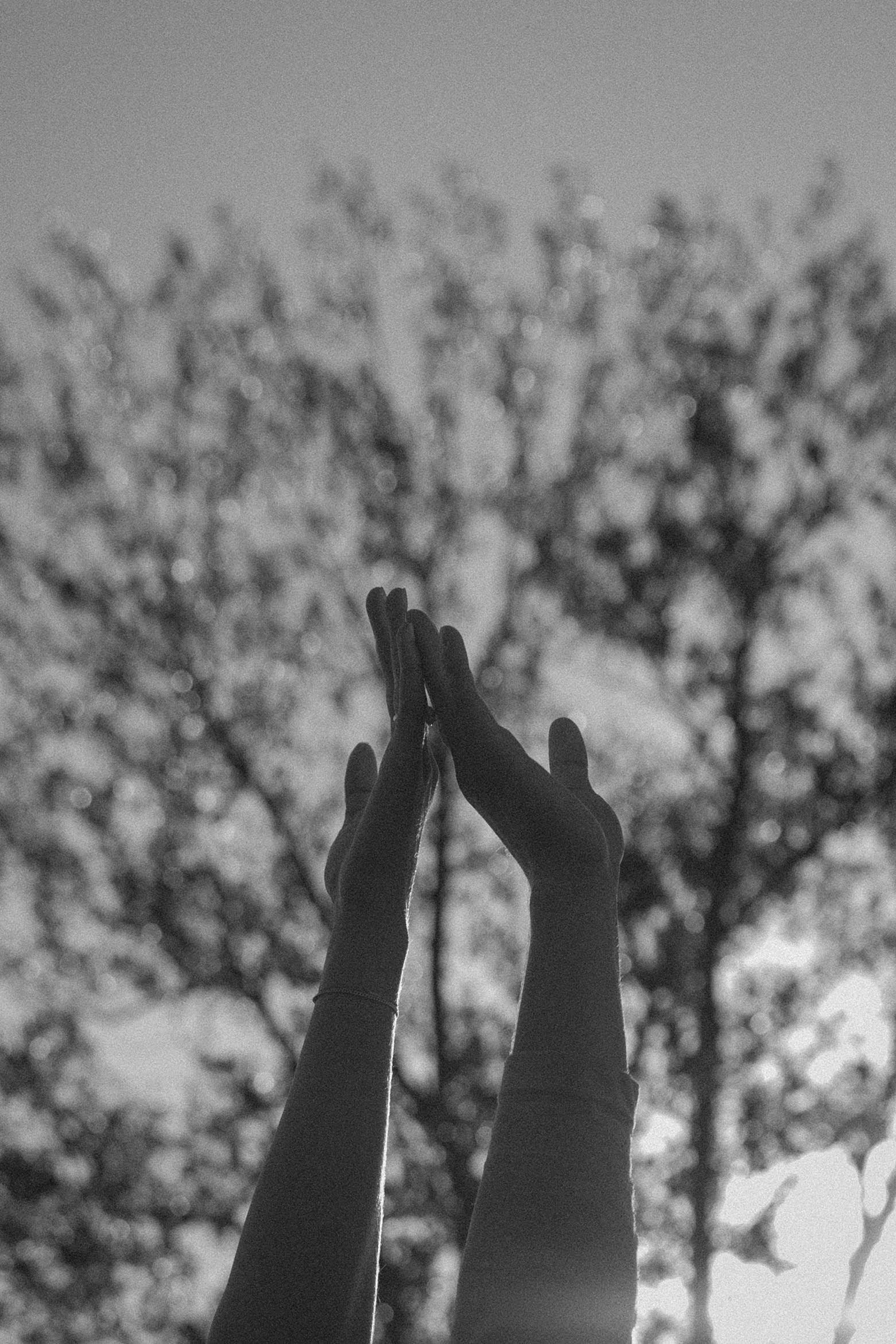 The Wedding Website of Sidney Kautz and Dylan Droegemueller