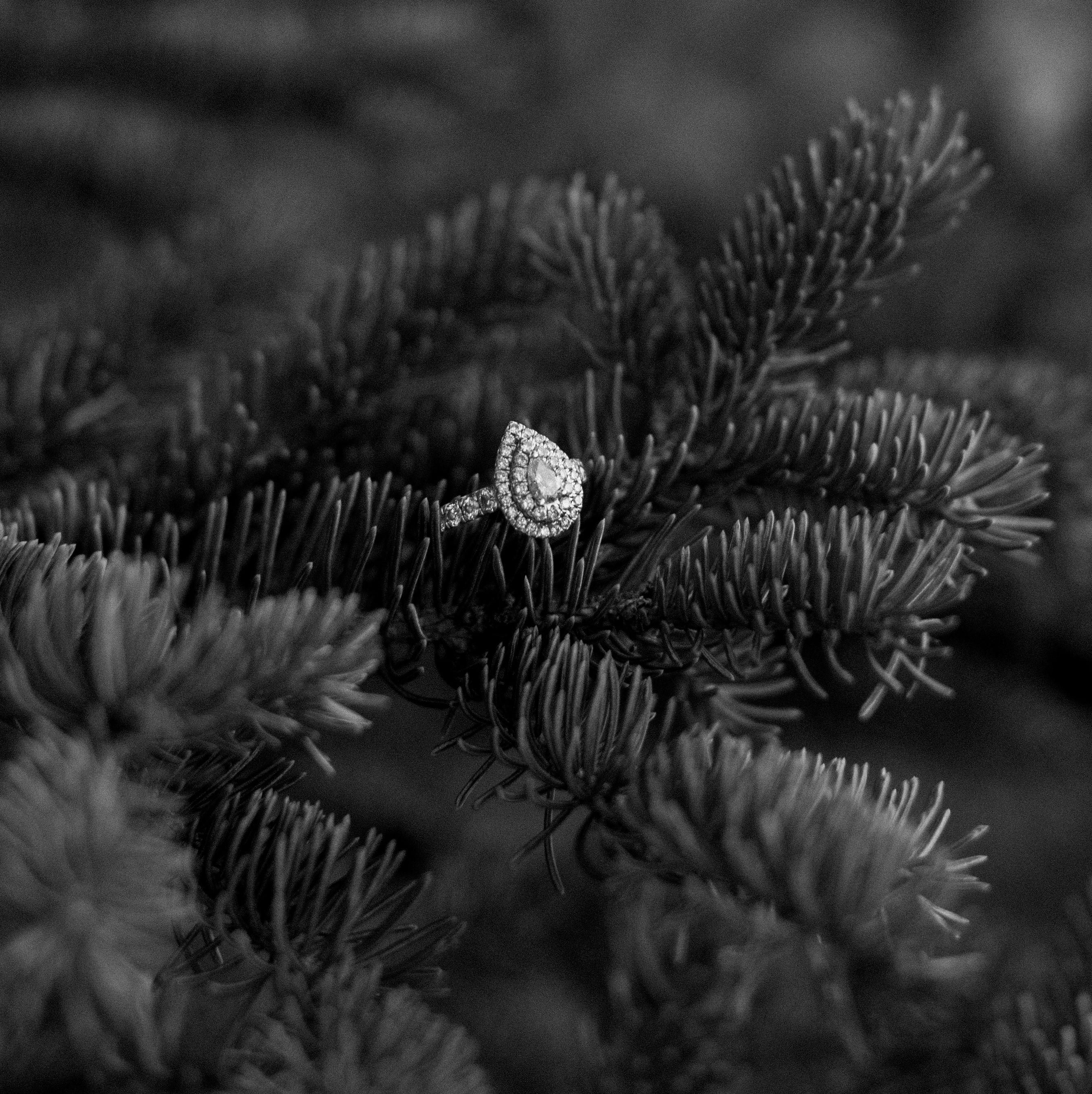 Hero Slideshow Image 0