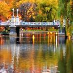 Boston Public Garden