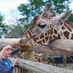Cheyenne Mountain Zoo