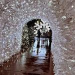See Christmas at the Princess - Fairmont Scottsdale Princess