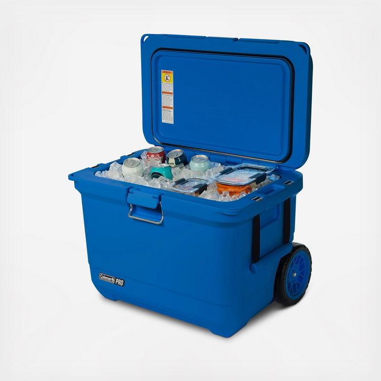 Coleman, Pro 55-Quart Hard Cooler | Zola