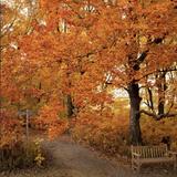 University of Minnesota Landscape Arboretum