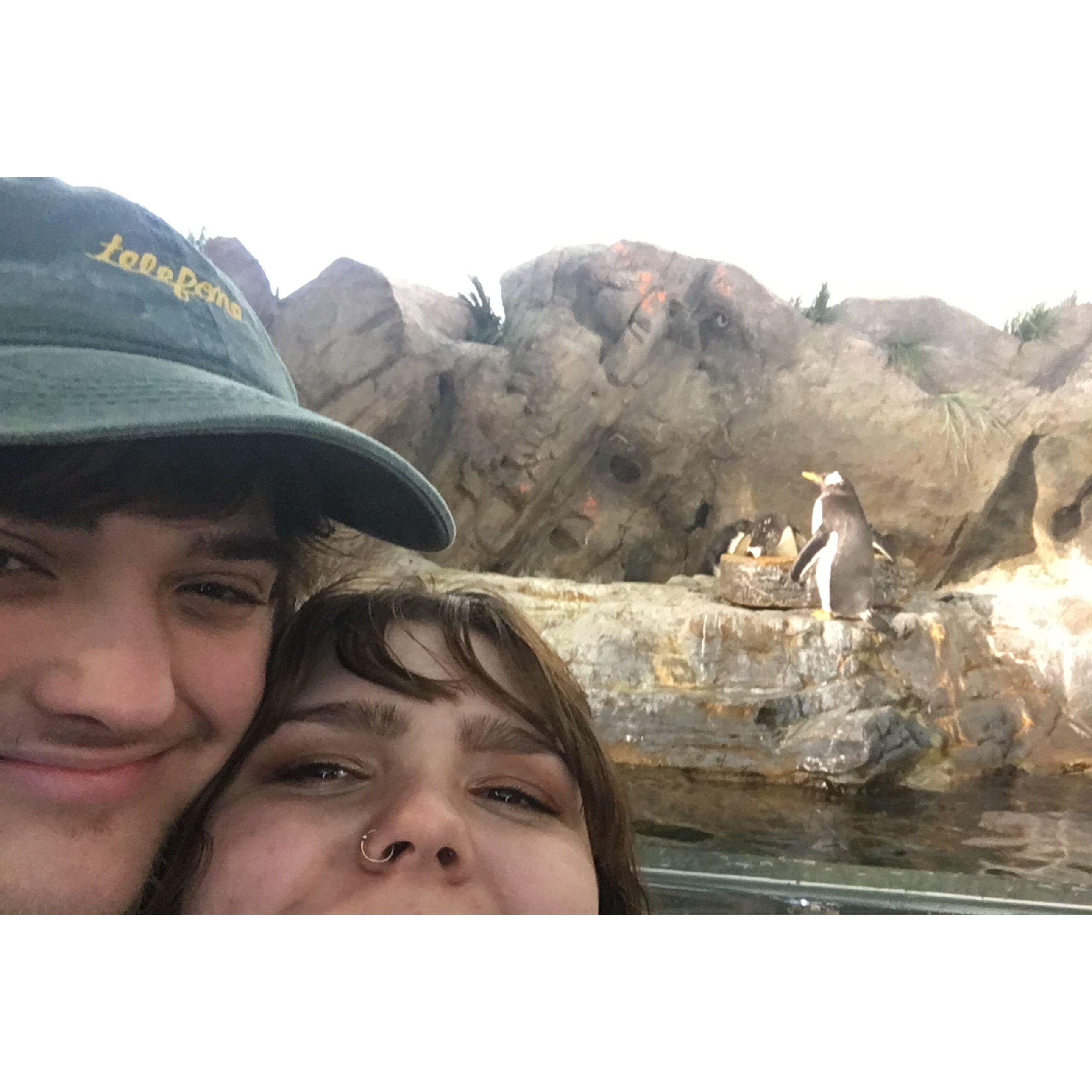 A date at the Zoo