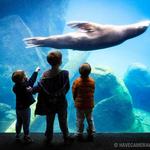 Smithsonian National Zoological Park