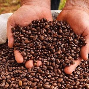 Coffee and Chocolate Tour